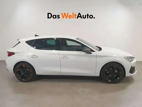 Used CUPRA LEON Petrol 2023 Ad 