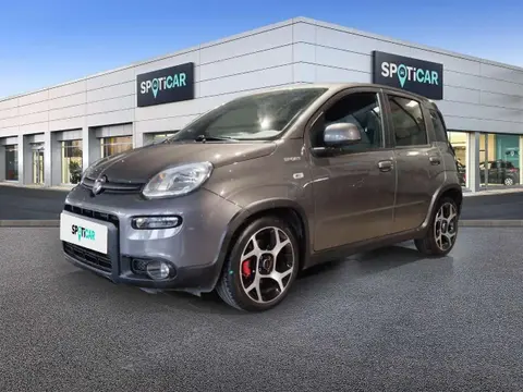 Annonce FIAT PANDA Essence 2021 d'occasion 