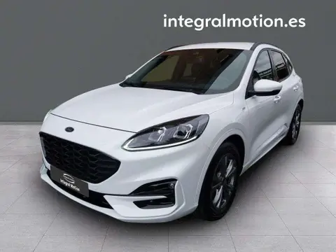 Annonce FORD KUGA Diesel 2022 d'occasion 