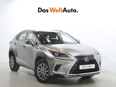 Annonce LEXUS NX Hybride 2020 d'occasion 