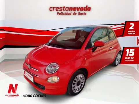 Annonce FIAT 500 Hybride 2020 d'occasion 