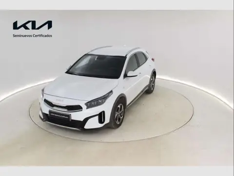 Annonce KIA XCEED Essence 2023 d'occasion 