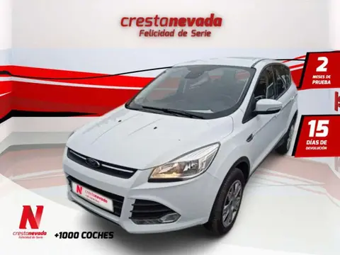 Annonce FORD KUGA Diesel 2016 d'occasion 