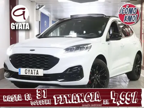 Used FORD KUGA Hybrid 2023 Ad 