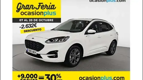 Used FORD KUGA Hybrid 2023 Ad 