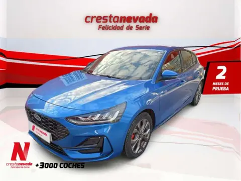 Used FORD FOCUS Hybrid 2022 Ad 