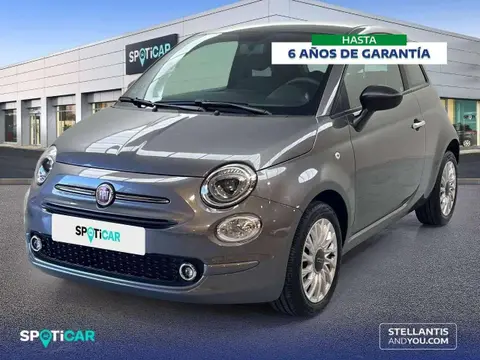 Used FIAT 500 Petrol 2023 Ad 