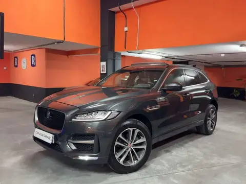 Used JAGUAR F-PACE Petrol 2019 Ad 