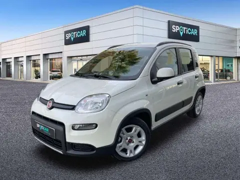 Annonce FIAT PANDA Essence 2022 d'occasion 