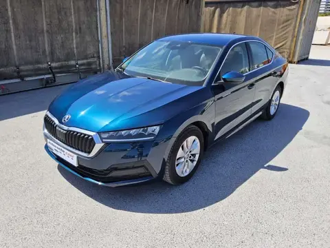 Annonce SKODA OCTAVIA Essence 2023 d'occasion 