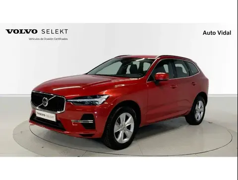 Annonce VOLVO XC60 Diesel 2023 d'occasion 