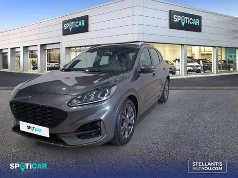 Annonce FORD KUGA Essence 2023 d'occasion 