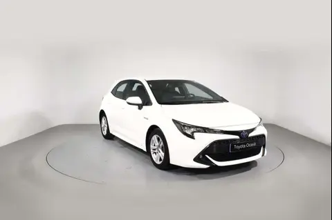 Used TOYOTA COROLLA Petrol 2019 Ad 