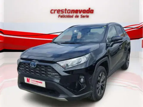 Annonce TOYOTA RAV4 Hybride 2023 d'occasion 