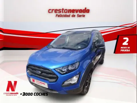 Annonce FORD ECOSPORT Essence 2023 d'occasion 