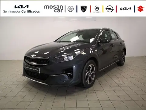 Used KIA XCEED Petrol 2023 Ad 