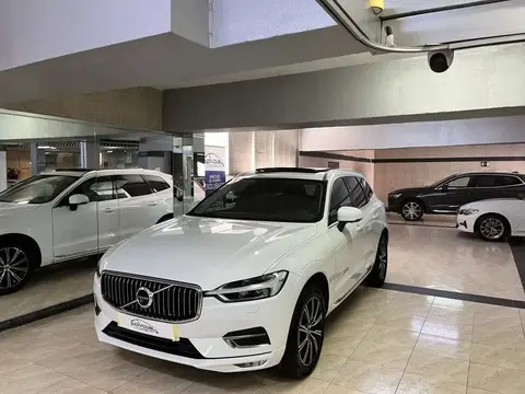 Used VOLVO XC60 Diesel 2019 Ad 