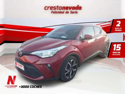 Used TOYOTA C-HR Hybrid 2020 Ad 