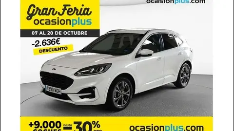 Used FORD KUGA Hybrid 2023 Ad 