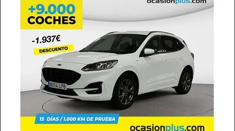 Used FORD KUGA Diesel 2021 Ad 