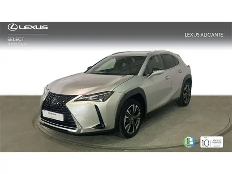 Used LEXUS UX Hybrid 2020 Ad 