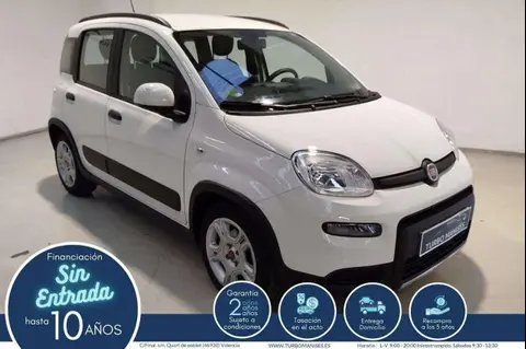 Used FIAT PANDA Hybrid 2023 Ad 