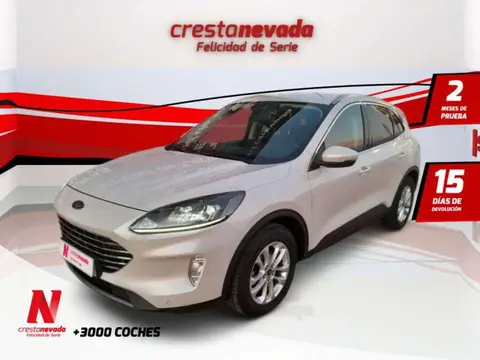 Annonce FORD KUGA Diesel 2021 d'occasion 