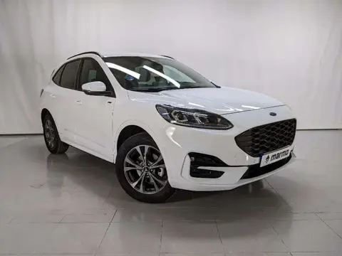 Annonce FORD KUGA Essence 2023 d'occasion 