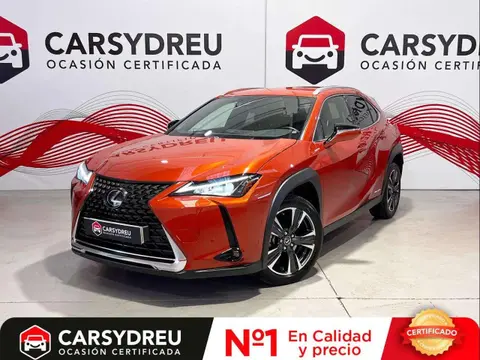 Annonce LEXUS UX Essence 2021 d'occasion 