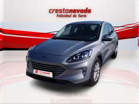 Used FORD KUGA Diesel 2020 Ad 