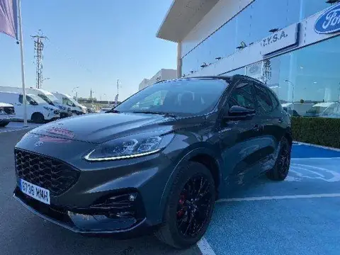 Annonce FORD KUGA Essence 2023 d'occasion 