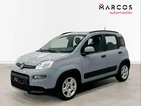 Used FIAT PANDA Petrol 2023 Ad 