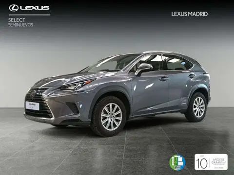 Annonce LEXUS NX Hybride 2019 d'occasion 