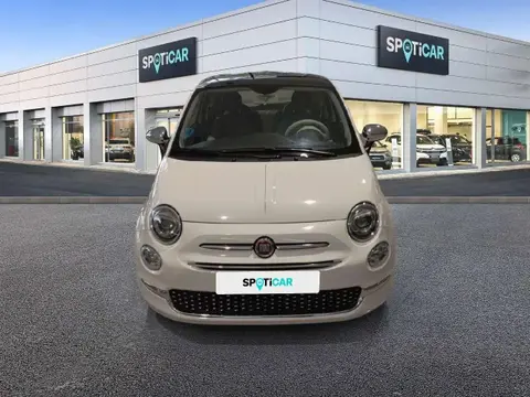 Used FIAT 500 Petrol 2021 Ad 