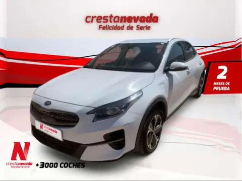 Annonce KIA XCEED Hybride 2021 d'occasion 