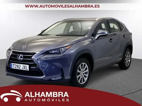 Used LEXUS NX Hybrid 2017 Ad 