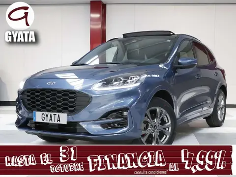 Annonce FORD KUGA Hybride 2023 d'occasion 