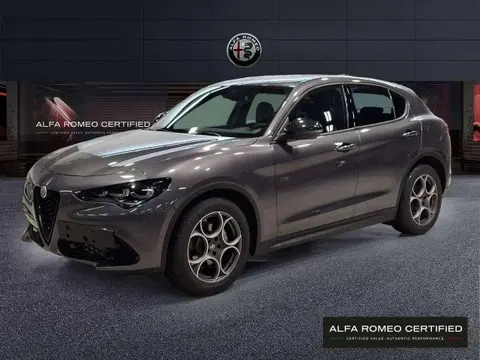 Used ALFA ROMEO STELVIO Diesel 2023 Ad 