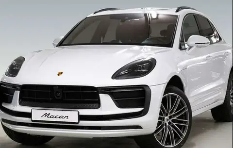 Used PORSCHE MACAN Petrol 2024 Ad 