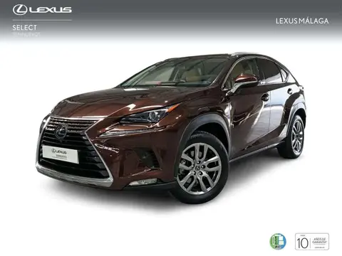 Used LEXUS NX Hybrid 2020 Ad 