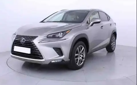 Used LEXUS NX Hybrid 2020 Ad 