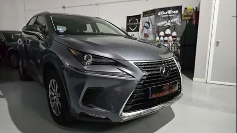 Annonce LEXUS NX Hybride 2021 d'occasion 