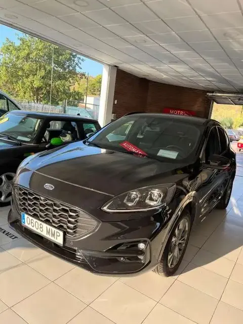 Annonce FORD KUGA Diesel 2020 d'occasion 