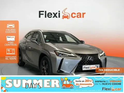 Used LEXUS UX Hybrid 2019 Ad 