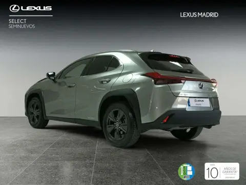 Used LEXUS UX Hybrid 2020 Ad 