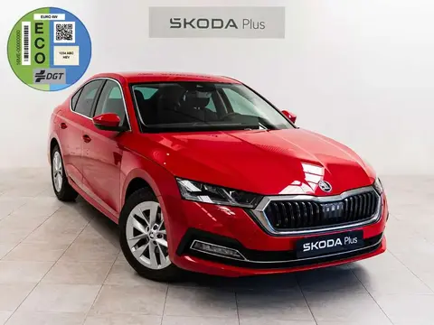 Annonce SKODA OCTAVIA Essence 2024 d'occasion 