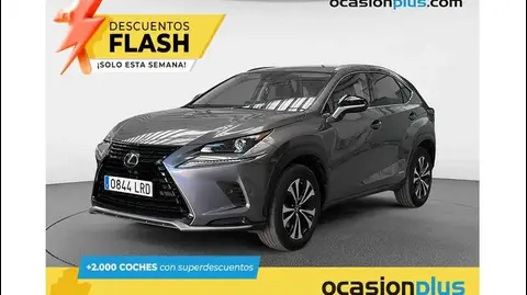 Annonce LEXUS NX Hybride 2021 d'occasion 