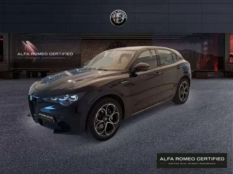 Annonce ALFA ROMEO STELVIO Diesel 2024 d'occasion 