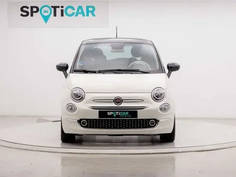 Used FIAT 500 Petrol 2023 Ad 