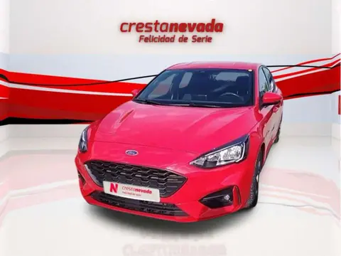 Annonce FORD FOCUS Diesel 2019 d'occasion 